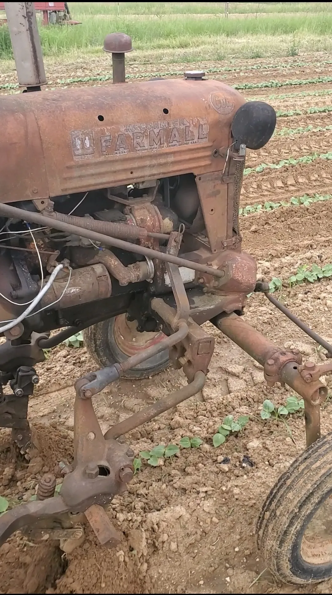 Made In America: Farmall Tractors & Purple Hull Peas