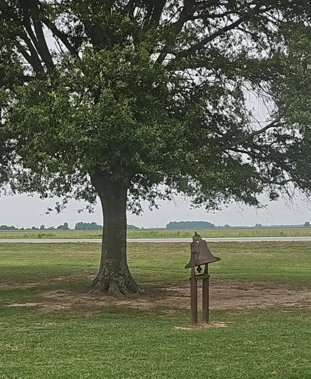 South Arkansas Spotlight: The Delta Down In Dumas