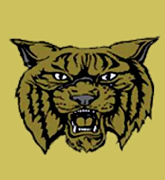 Arkansas Activities Association Moves To Dismiss Lawsuit